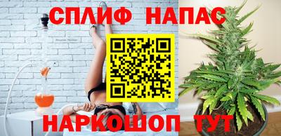 СК Нальчик