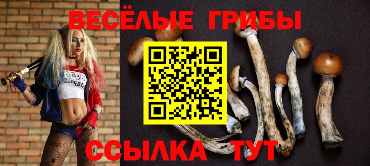 Псилоцибиновые грибы GOLDEN TEACHER  Вход с VPN  Псилоцибиновые грибы мицелий  Шарыпово 